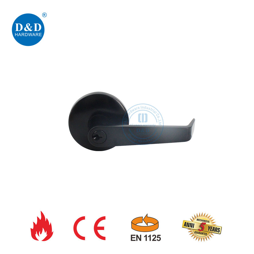 Stainless Steel Lever Trim