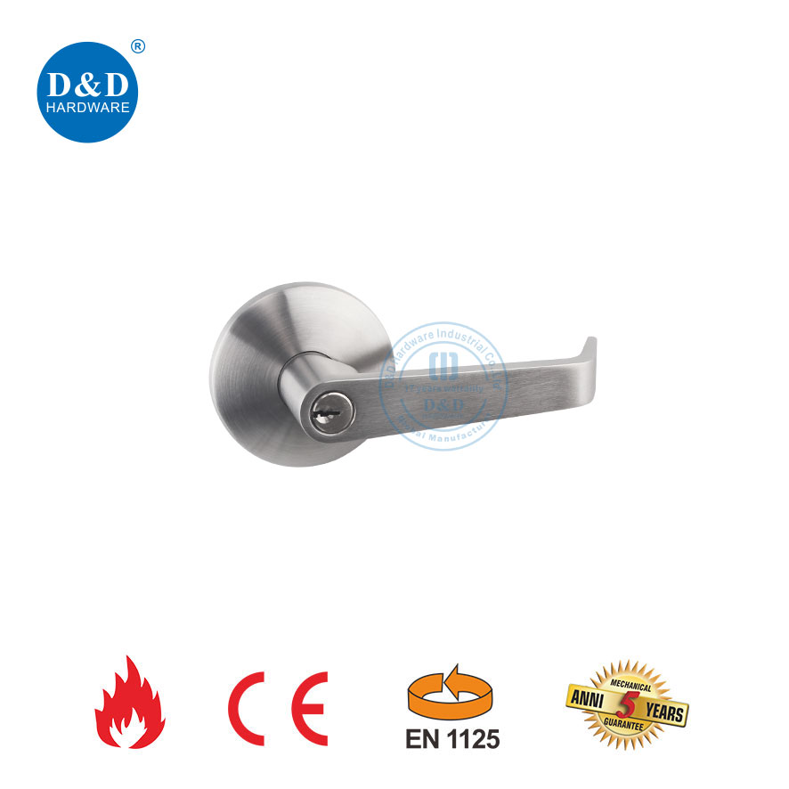 Stainless Steel Lever Trim