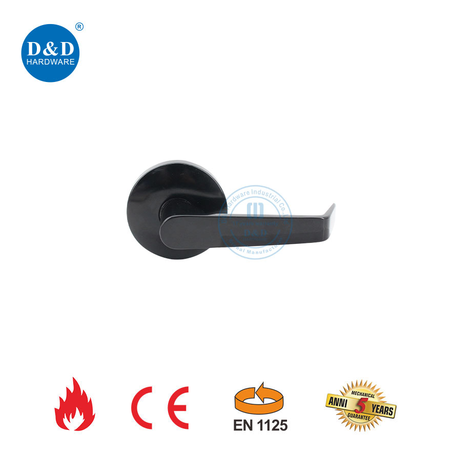 Stainless Steel Lever Trim