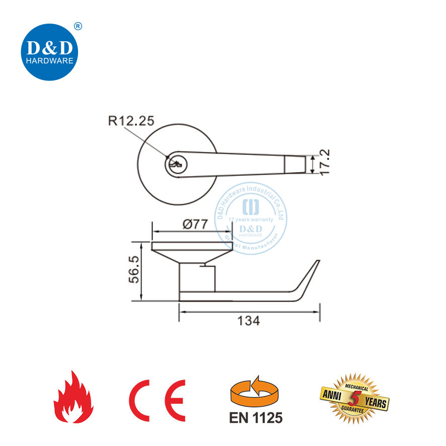 Stainless Steel Lever Trim